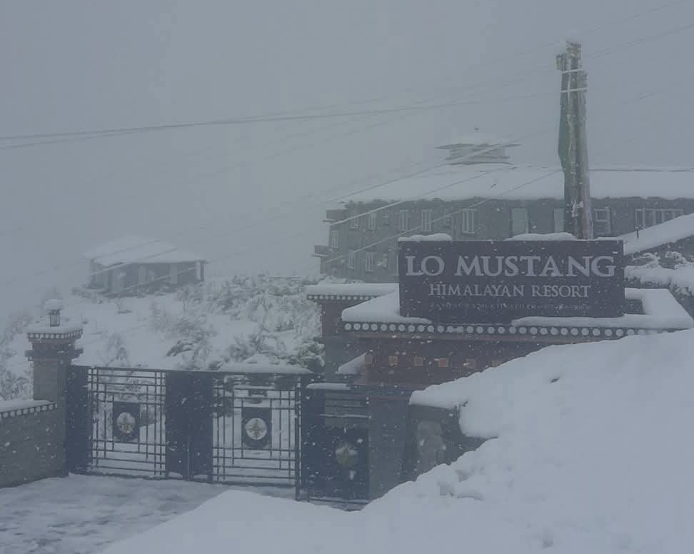Weather alert: Snowfall expected in high himalayas, rain in lower regions